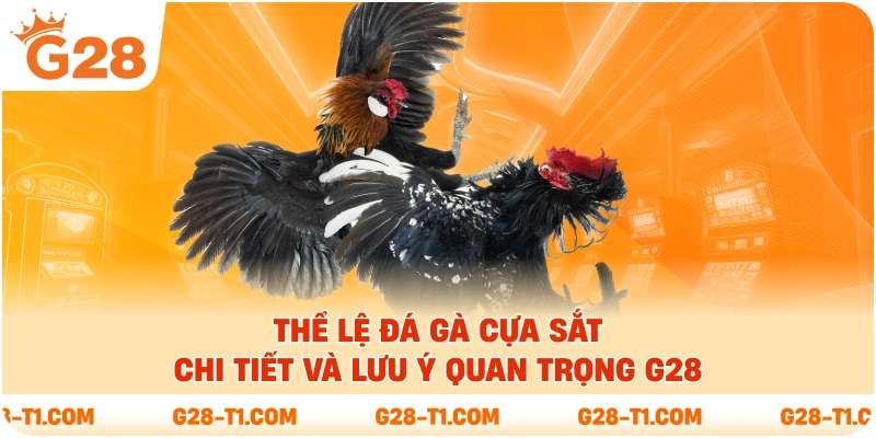 Thể Lệ Đá Gà Cựa Sắt Chi Tiết Và Lưu Ý Quan Trọng G28